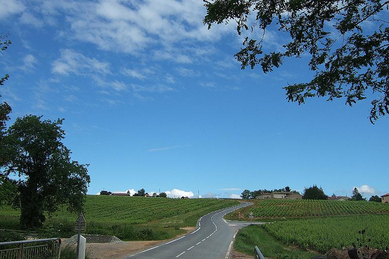 2010-06- (116).JPG